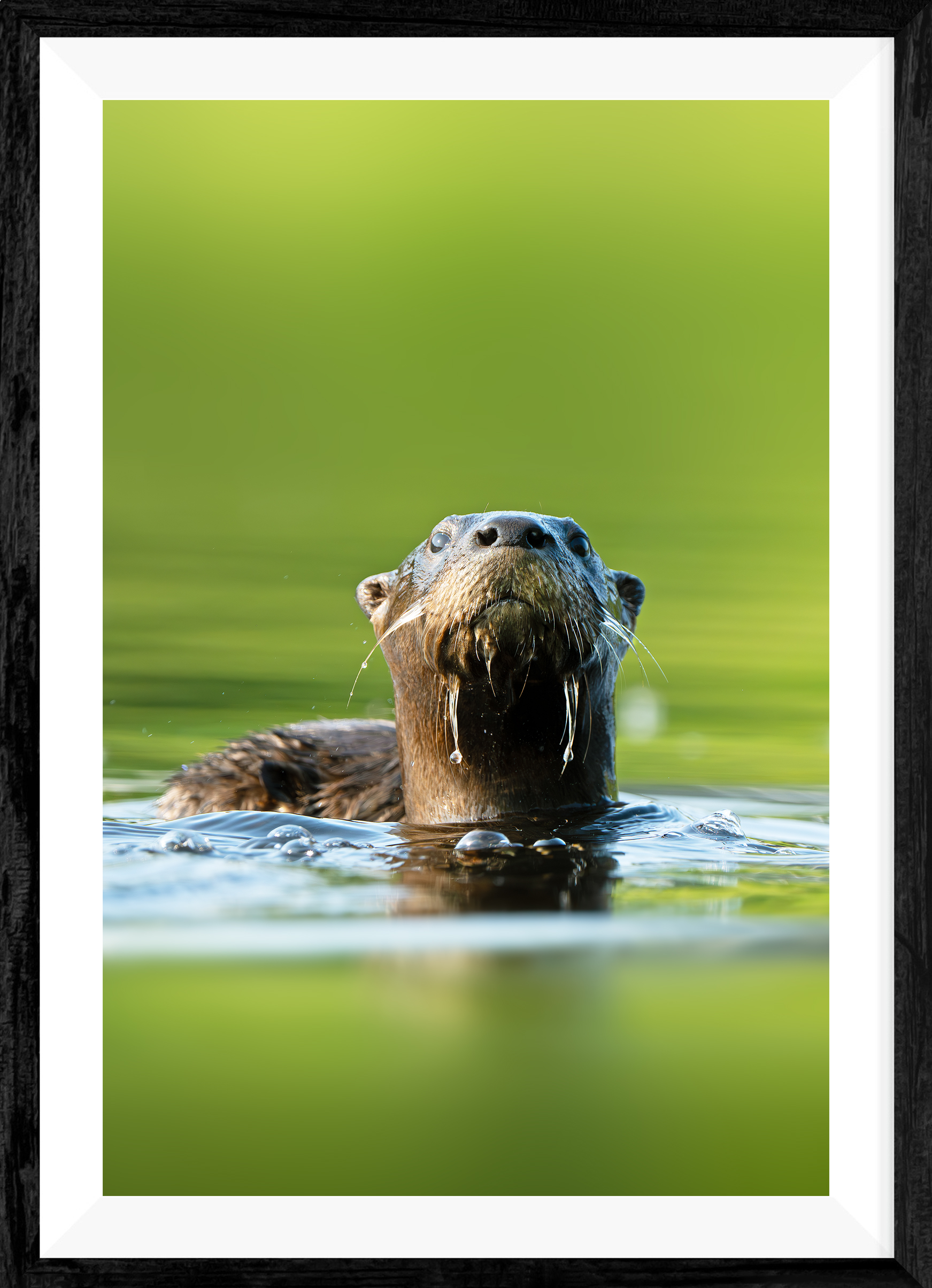products//watchful-silence-northern-river-otter-portrait-limited-edition-fine-art-print-1753546060.jpg