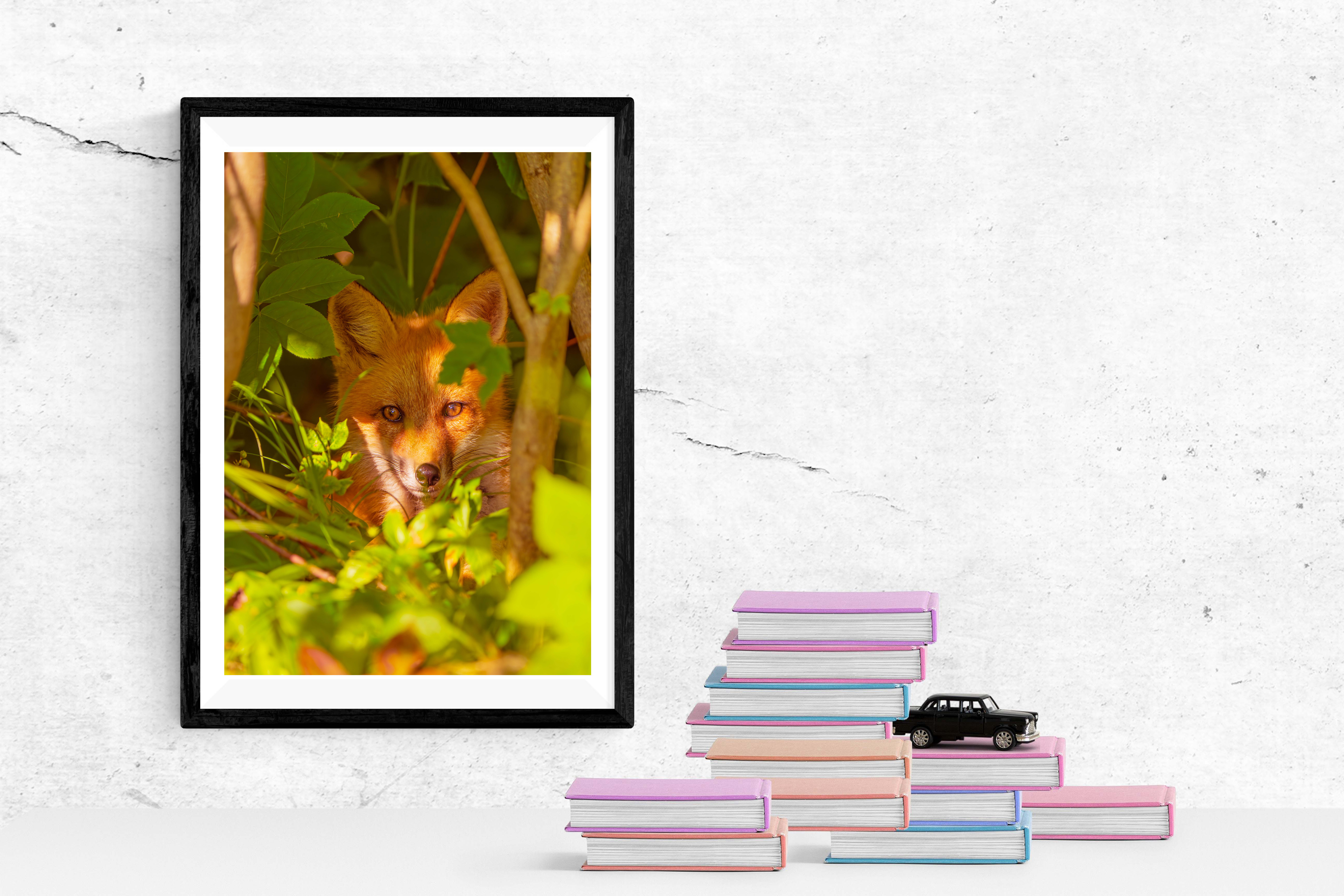 “THE WATCHER IN THE LEAVES” 🦊 | Red Fox Portrait | 🍃 LIMITED EDITION FINE ART PRINT