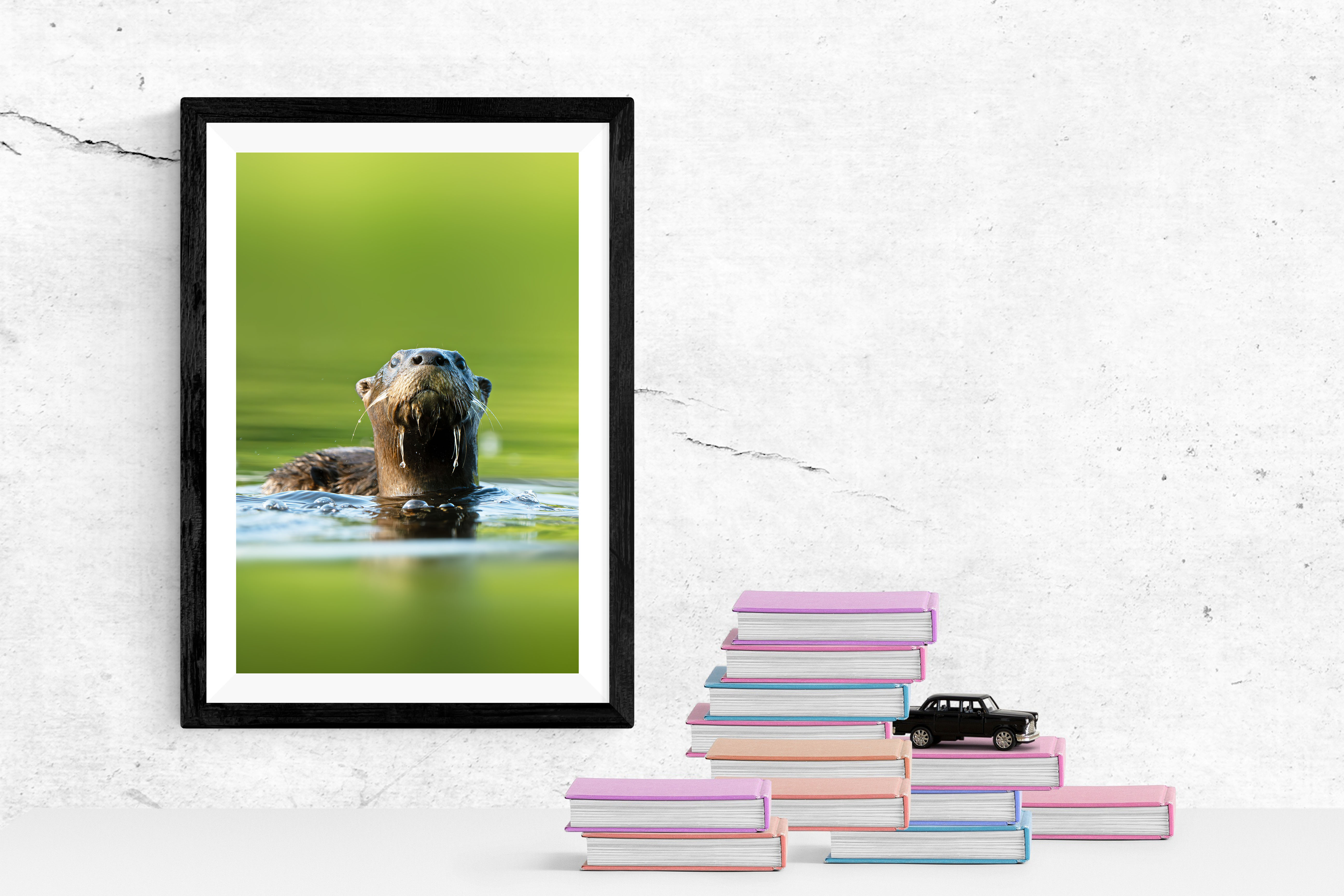 WATCHFUL SILENCE | Northern River Otter Portrait | Limited Edition Fine Art Print